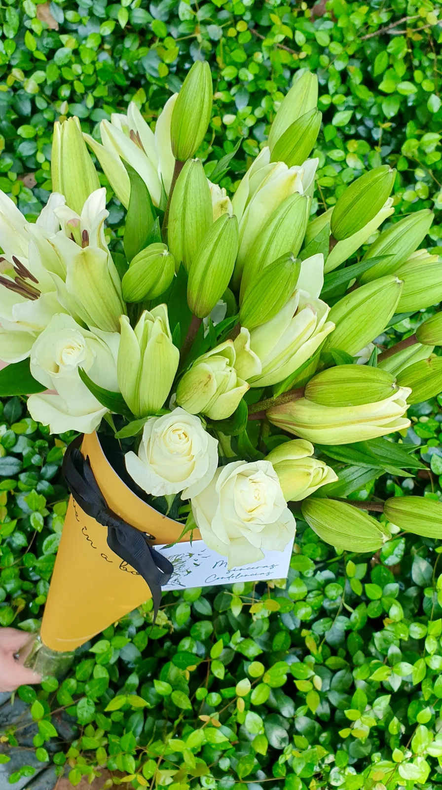 Lillys & Roses