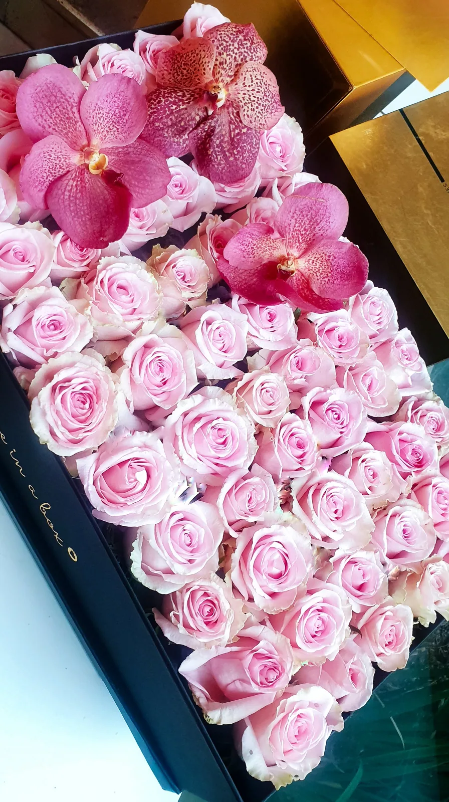 ROSAS & ORQUIDEAS